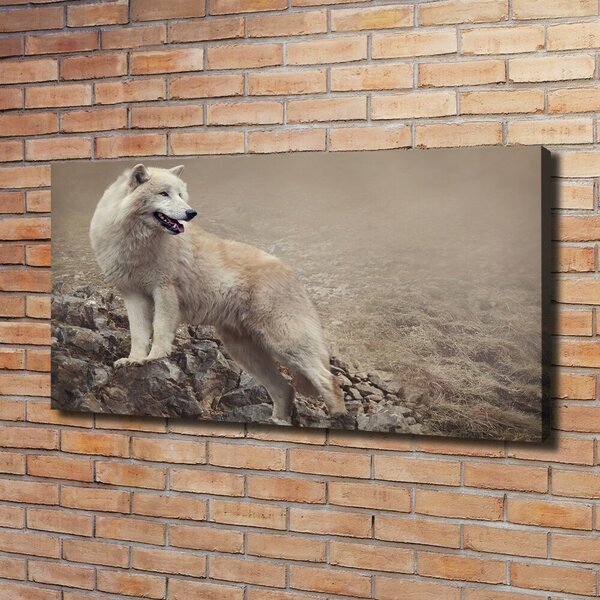 Foto obraz na plátně do obýváku Bílý vlk na skále oc-60381309