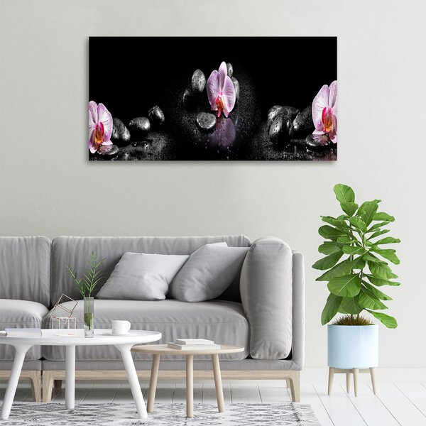 Foto obraz na plátně do obýváku Orchidej oc-60629892