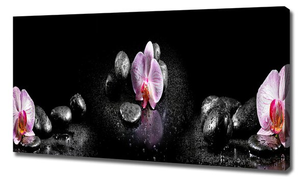 Foto obraz na plátně do obýváku Orchidej oc-60629892