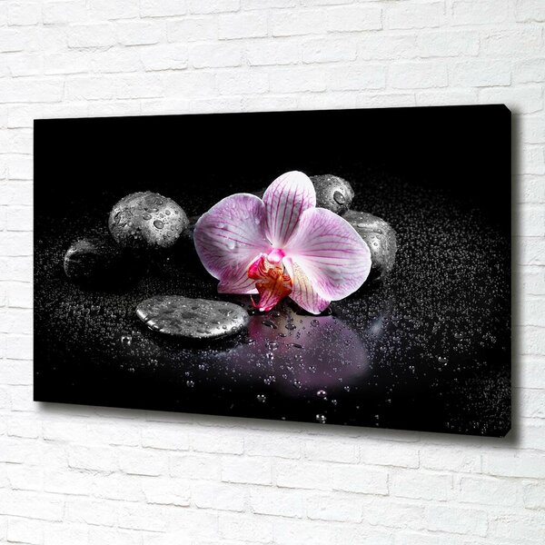 Foto obraz na plátně do obýváku Orchidej oc-60629892