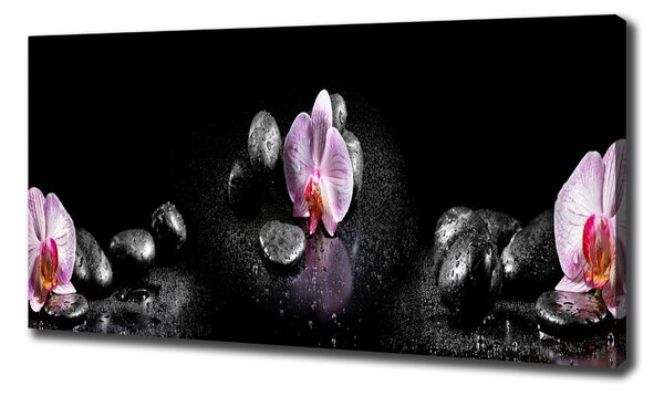 Foto obraz na plátně do obýváku Orchidej oc-60629892