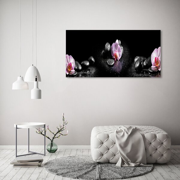 Foto obraz na plátně do obýváku Orchidej oc-60629892
