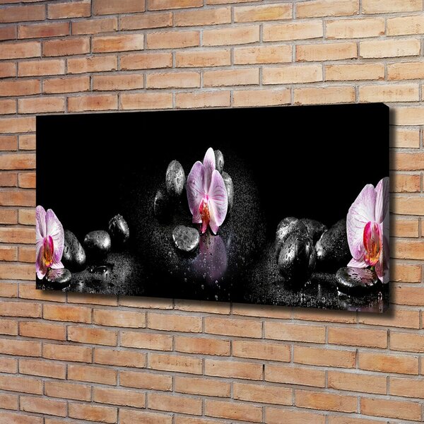 Foto obraz na plátně do obýváku Orchidej oc-60629892