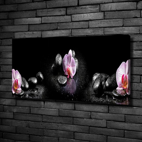 Foto obraz na plátně do obýváku Orchidej oc-60629892