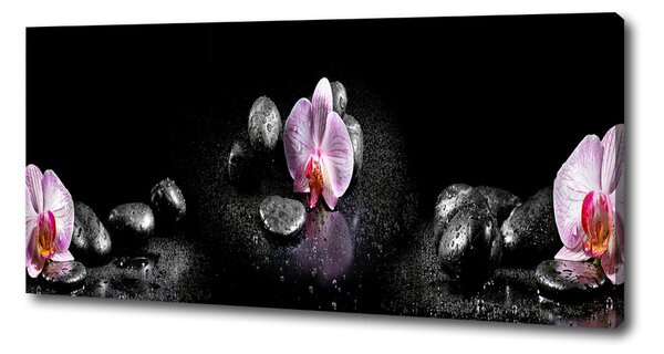 Foto obraz na plátně do obýváku Orchidej oc-60629892