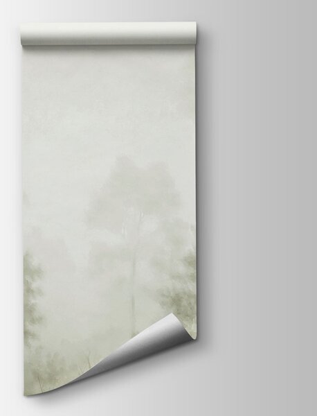 Fototapeta Zamlžený les se stromy, Přírodní fototapety, Populární fototapety, t00721v2 - Tapeko.co.cz