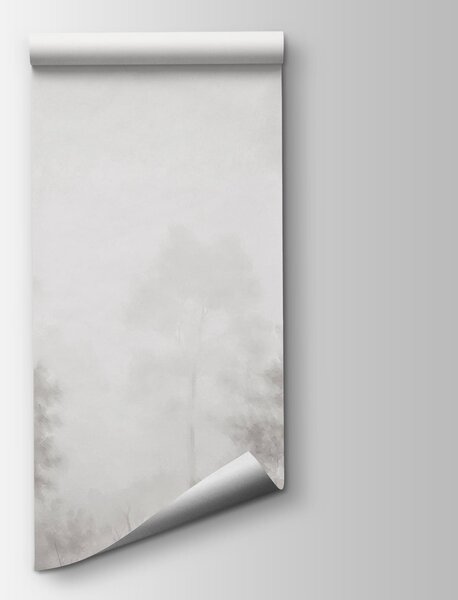 Fototapeta Zamlžený les se stromy, Přírodní fototapety, Populární fototapety, t00721v1 - Tapeko.co.cz