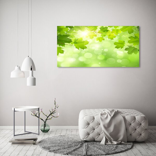 Foto obraz na plátně do obýváku Listí kaštanu oc-61080240