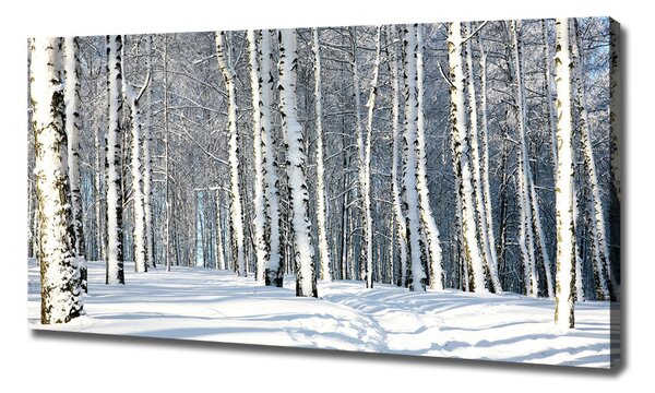 Foto obraz tištěný na plátně Les zima oc-61171749
