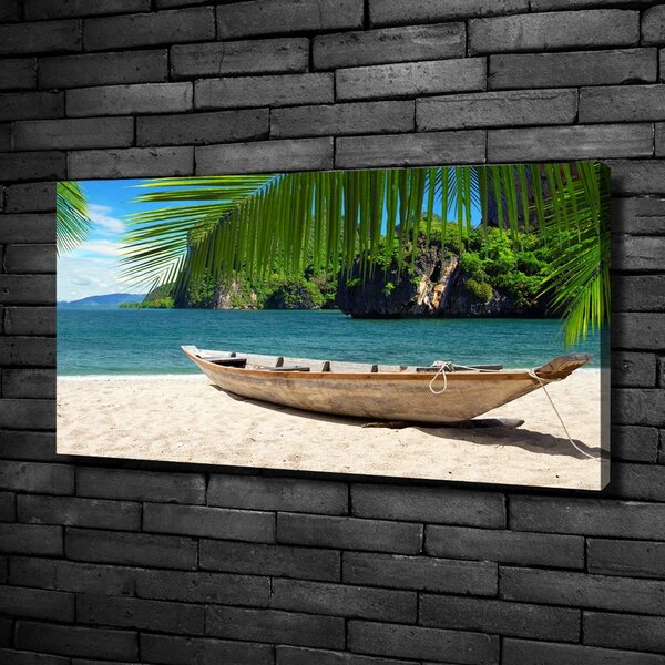 Moderní obraz canvas na rámu Loď na pláži oc-61294021
