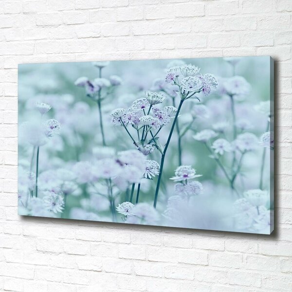 Moderní fotoobraz canvas na rámu Jarmanka větší oc-61315744