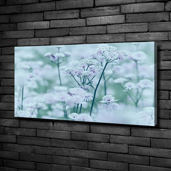 Moderní fotoobraz canvas na rámu Jarmanka větší oc-61315744
