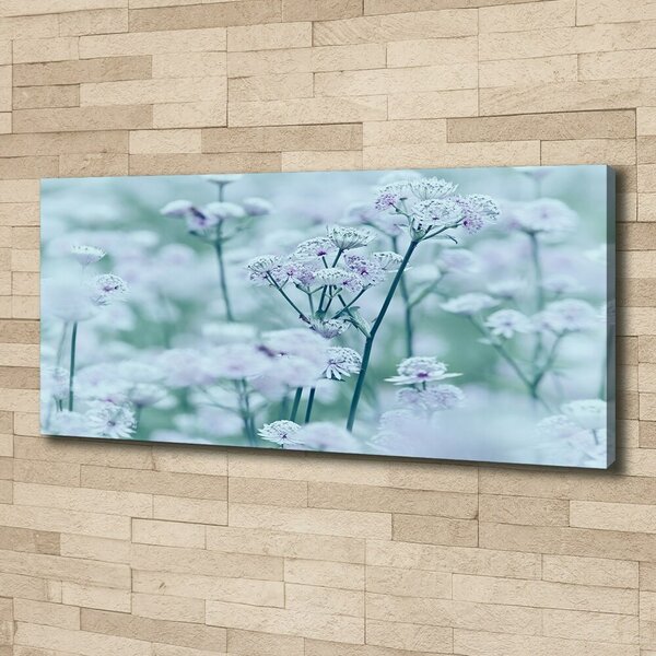 Moderní fotoobraz canvas na rámu Jarmanka větší oc-61315744
