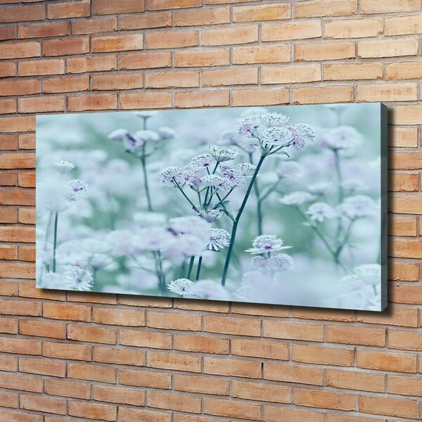 Moderní fotoobraz canvas na rámu Jarmanka větší oc-61315744