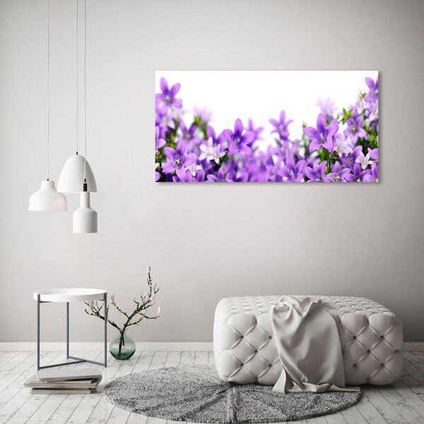 Fotoobraz na skle Fialové zvonky osh-61481460