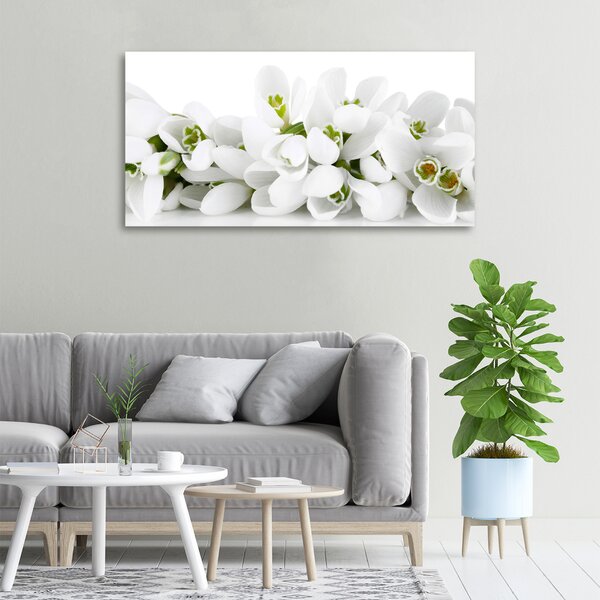 Moderní obraz canvas na rámu Prvosenky oc-61615324