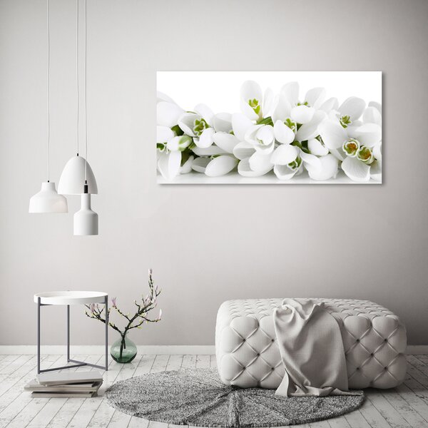 Moderní obraz canvas na rámu Prvosenky oc-61615324