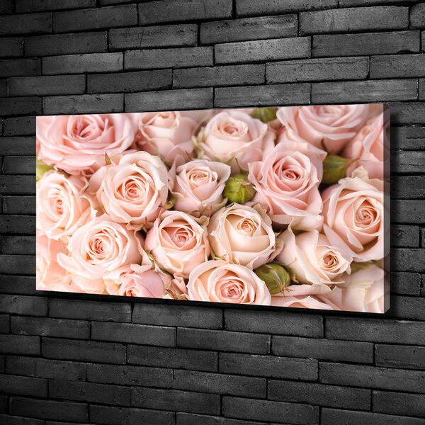 Moderní fotoobraz canvas na rámu Růže oc-61659920