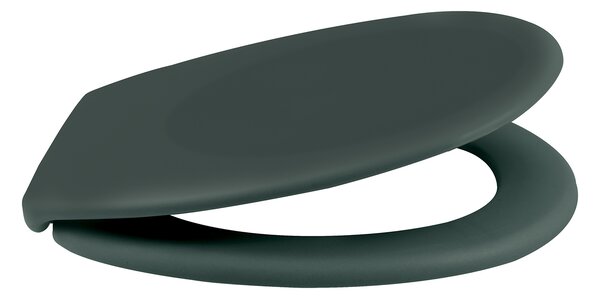 Spirella WC prkénko NEELA, soft-close, matné tmavě zelené, duroplast