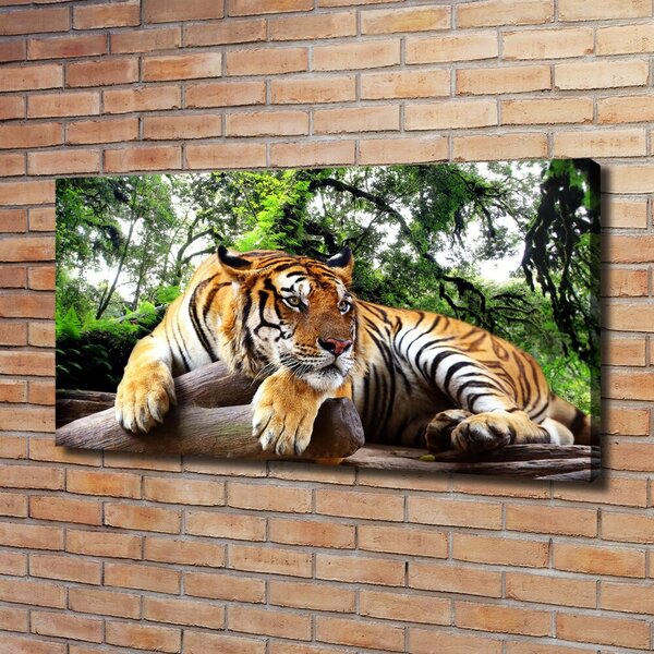 Foto obraz na plátně do obýváku Tygr na skále oc-61968911