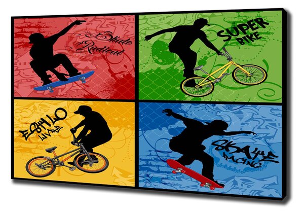 Moderní fotoobraz canvas na rámu Kolo a skateboard oc-62041859