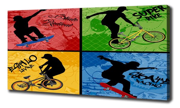 Moderní fotoobraz canvas na rámu Kolo a skateboard oc-62041859