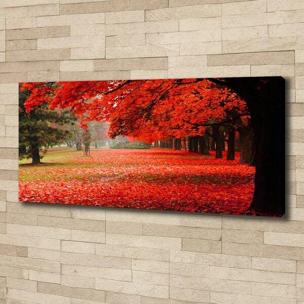 Foto obraz canvas Stromy podzim oc-62277653