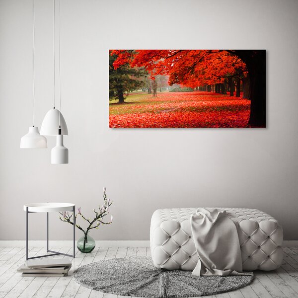 Foto obraz canvas Stromy podzim oc-62277653