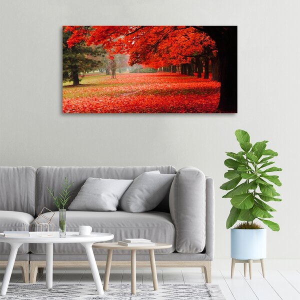 Foto obraz canvas Stromy podzim oc-62277653