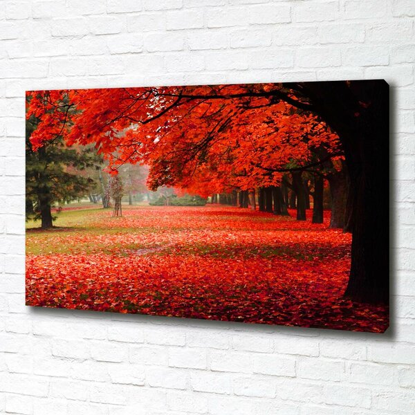 Foto obraz canvas Stromy podzim oc-62277653
