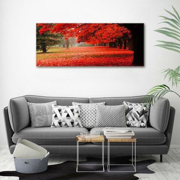 Foto obraz canvas Stromy podzim oc-62277653