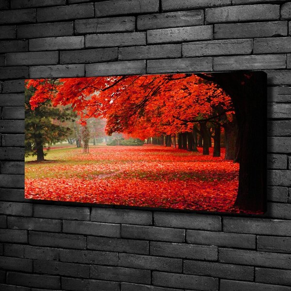Foto obraz canvas Stromy podzim oc-62277653
