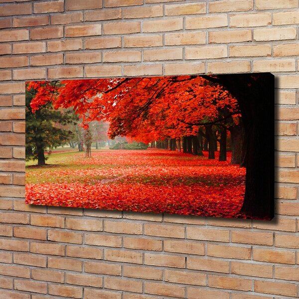 Foto obraz canvas Stromy podzim oc-62277653