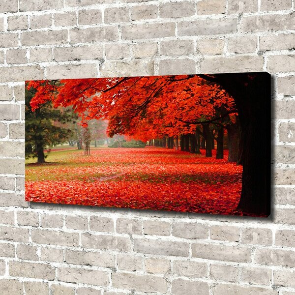 Foto obraz canvas Stromy podzim oc-62277653