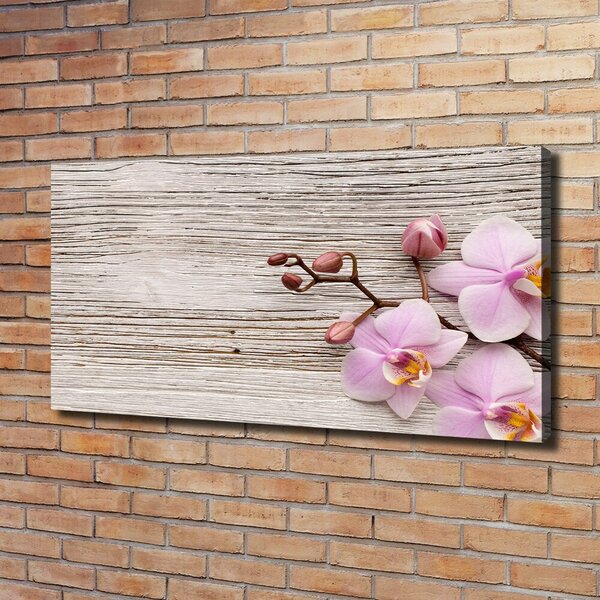 Moderní fotoobraz canvas na rámu Orchidej a na stromě oc-62495656