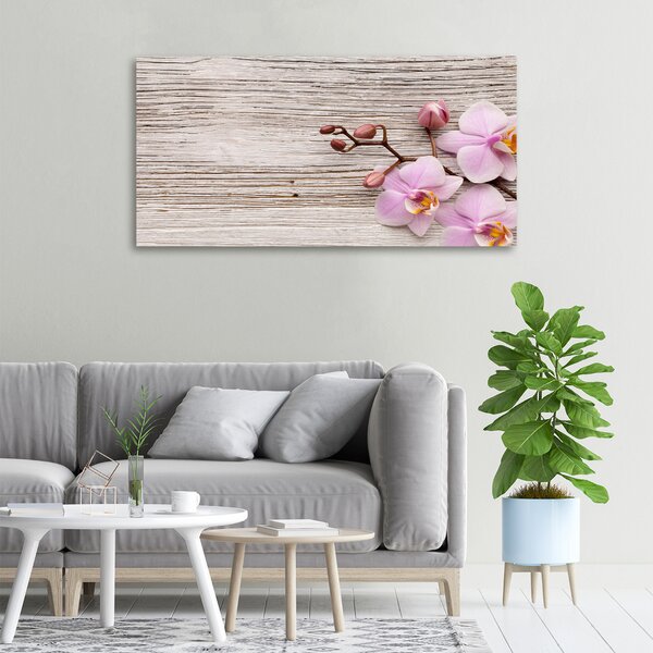 Moderní fotoobraz canvas na rámu Orchidej a na stromě oc-62495656