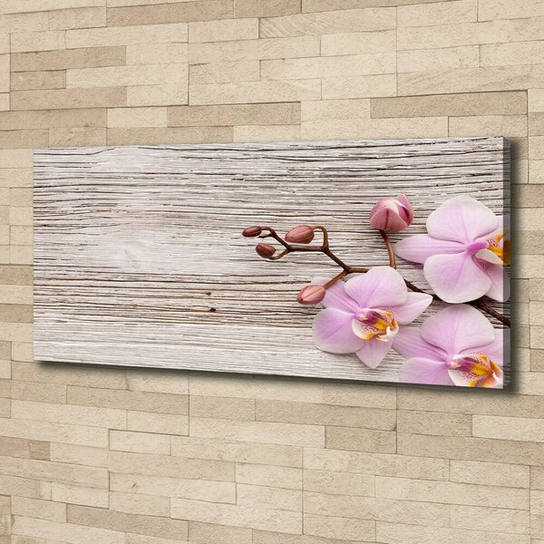 Moderní fotoobraz canvas na rámu Orchidej a na stromě oc-62495656