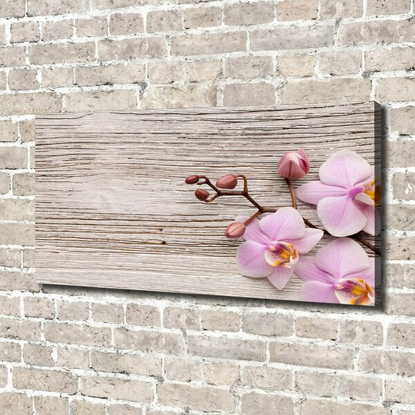 Moderní fotoobraz canvas na rámu Orchidej a na stromě oc-62495656