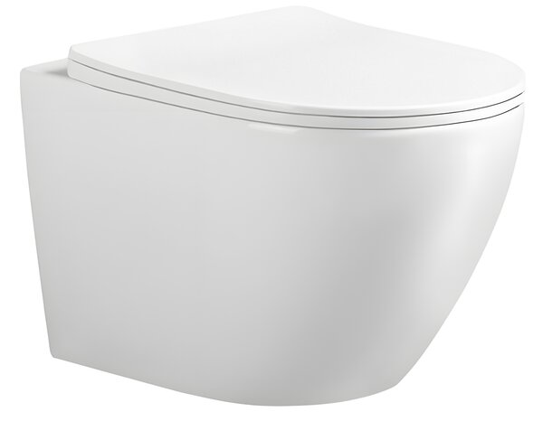 BPS-koupelny Závěsná WC mísa se SoftClose sedátkem FLOW WH TR 03, bílá