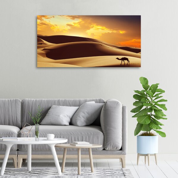 Foto obraz na plátně Velbloud Sahara oc-62618383