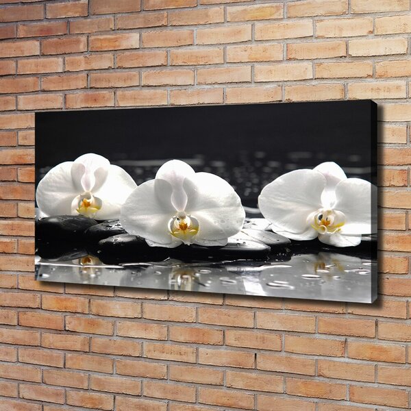 Foto obraz na plátně do obýváku Orchidej oc-62952104