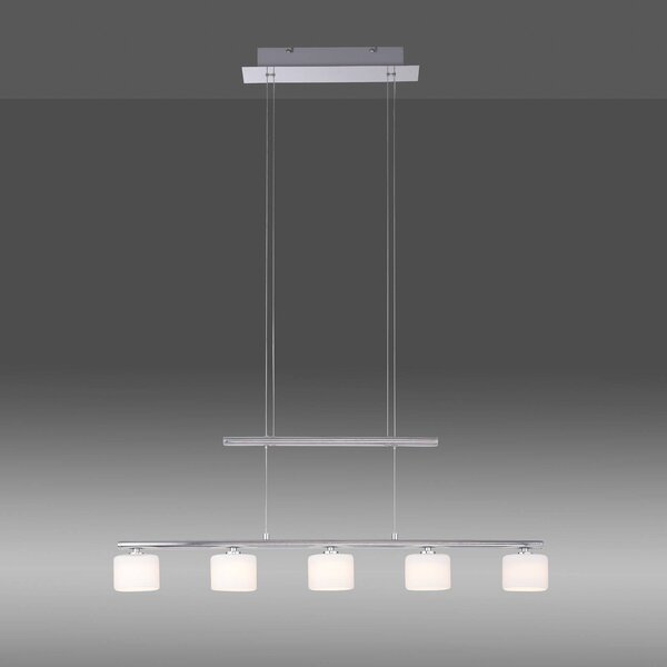 Paul Neuhaus LED závěsné svítidlo Hydra, ocelová barva, sklo, 80 cm, Hliník / šedá / zinek, Obývací pokoj / jídelna, Sklo, Moderní