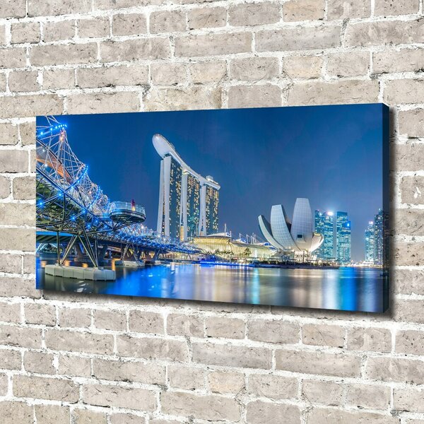 Moderní obraz canvas na rámu Singapur noc oc-63023260