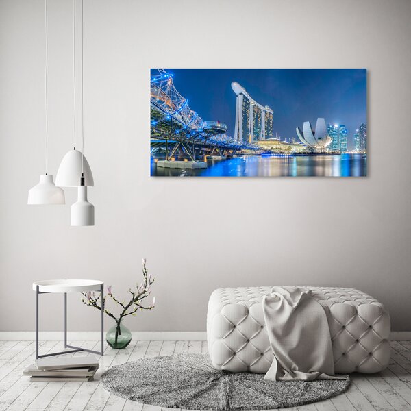 Moderní obraz canvas na rámu Singapur noc oc-63023260