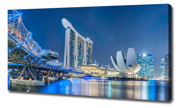 Moderní obraz canvas na rámu Singapur noc oc-63023260