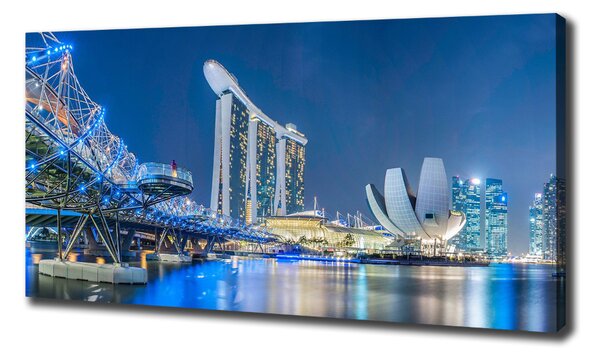 Moderní obraz canvas na rámu Singapur noc oc-63023260