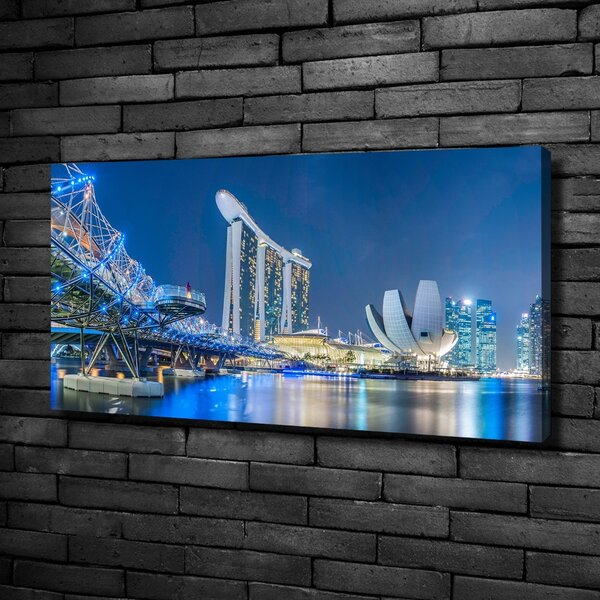 Moderní obraz canvas na rámu Singapur noc oc-63023260