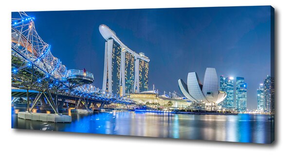 Moderní obraz canvas na rámu Singapur noc oc-63023260