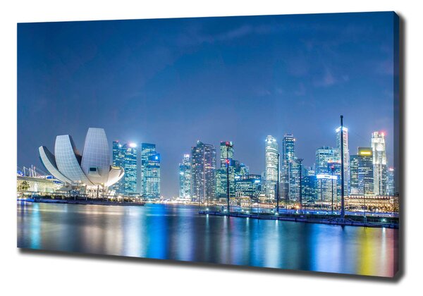Moderní obraz canvas na rámu Singapur noc oc-63023260