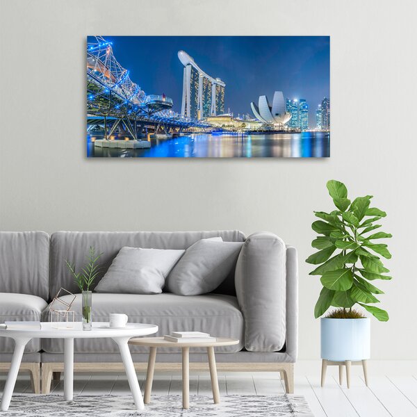 Moderní obraz canvas na rámu Singapur noc oc-63023260